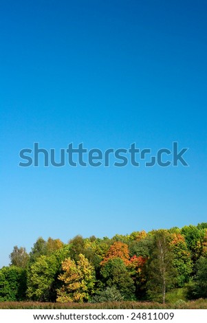 Autumn wood on a background of the dark blue sky