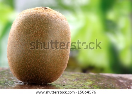 Whole organic kiwi fruit on a stone counter.