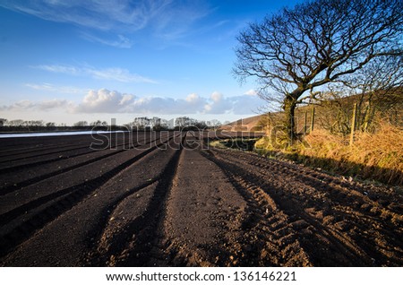 Furrowed Land ready for growing in Spring with tree and Blue skies