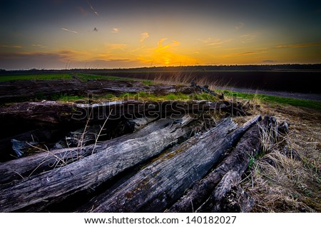 A beautiful moody sunset with dead tree trunks/bark in the foreground in a deserted farmers field.