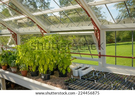 A beautiful white wooden greenhouse with an array of flowers and plants