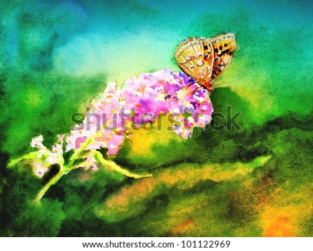 original art, watercolor painting, spotted butterfly resting on butterfly bush in summer garden