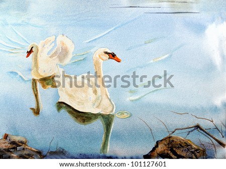 original art, watercolor painting of swans swimming near shore
