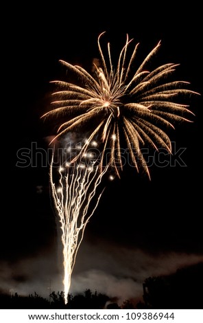 amazing firework display that looks like a flower