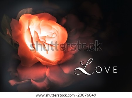 lighted rose surrounded by rose petals with love message