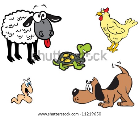 animals  sheep  chicken