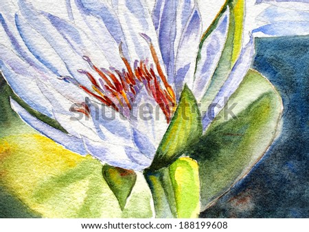 original art, watercolor painting of water lily