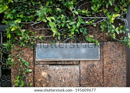 old iron front door label with ivy plant and brown stone brick wall