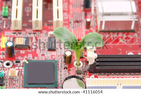 Green plant growing through electronic circuit board