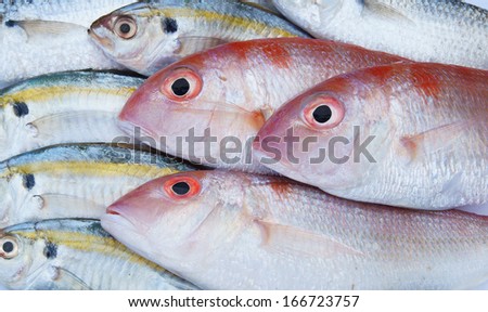 Sea fish background