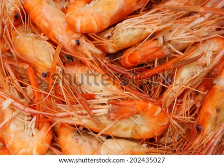 Shrimp background, many fresh cooked shrimps together