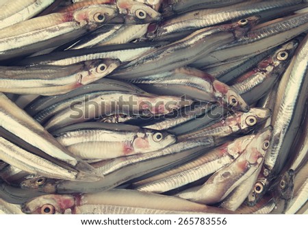 Fresh anchovies fish background