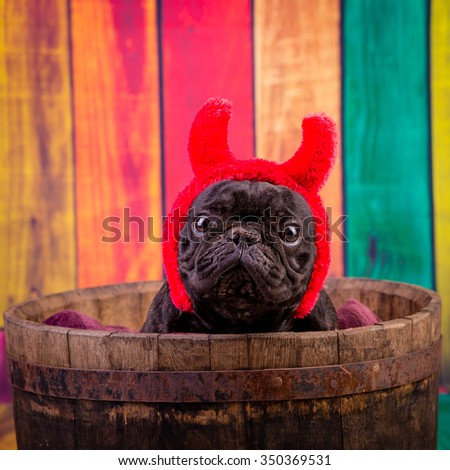 french bulldog wearing devil horn