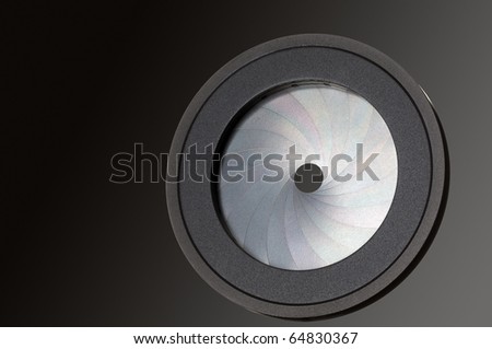 Macro of an iris on gradient background