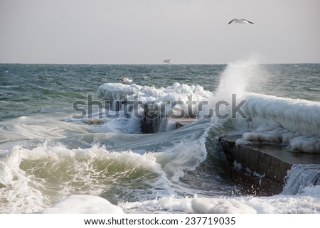 Storm on the sea. Waves breaking on a frozen pier. Flying bird. Dynamics and power