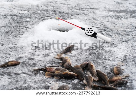 Winter fishing. Fishing rod on a frozen lake. Hole in the ice and catch.