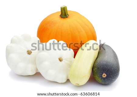 Gourd Family