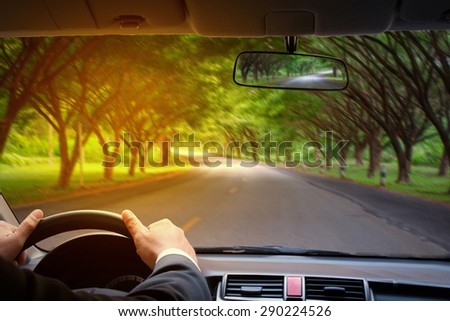 business man driving car on the trees tunnel road