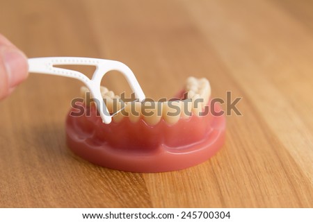 Person flossing a set of false teeth with dental floss cleaning carefully between the teeth in a demonstration of oral hygiene