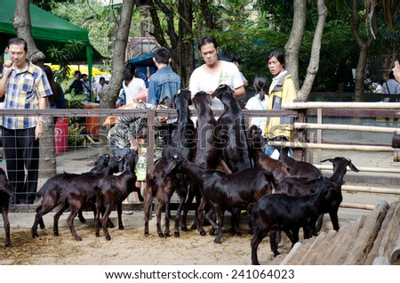 BANGKOK -JAN 1. An unidentified man feeding food to goats on January 1, 2014 at Dusit Zoo in Bangkok, Thailand.