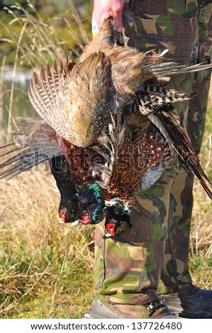 A hunting guide with three pheasants on the West Coast, South Island, New Zealand