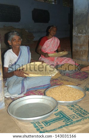 TAMIL NADU, INDIA, circa 2009: Unidentified women cleaning rice for sale, circa 2009 in Tamil Nadu, India. Much of India\'s economy still relies on hand tools and skilled tradesmen.