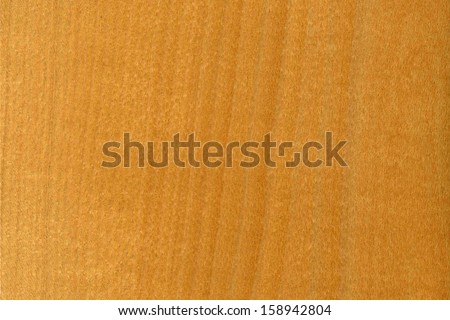 background of wood grain from Fagus sylvatica, the European beech or common beech
