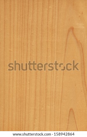 background of wood grain from Hard Maple, Acer saccharum, aka as Sugar Maple, Rock Maple, from Northeastern North America