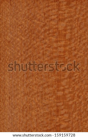 background of wood grain from Grevillea robusta, commonly known as the southern silky oak or silky oak, or Australian silver oak