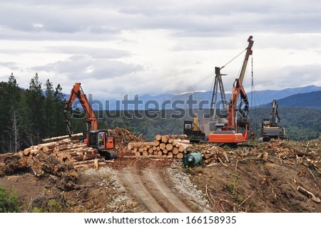 A timber hauler drags Pinus radiata logs to a loading site at a forestry block in Westland