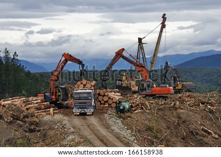 GREYMOUTH, NEW ZEALAND, NOVEMBER 28, 2013: A digger loads a truck with freshly sawn Pinus radiata logs at a milling site on November 28, 2013, near Greymouth, New Zealand
