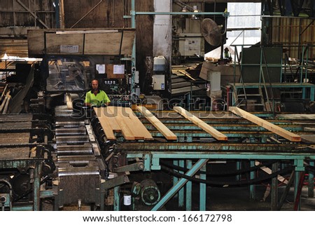 HOKITIKA, NEW ZEALAND, NOVEMBER 28, 2013: A worker directs freshly sawn Pinus radiata boards through  a sawmill on November 28, 2013, near Hokitika, New Zealand