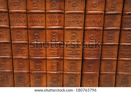 Row of spines from several volumes of the Holy Bible. From the Reed Rare Books Collection in Dunedin, New Zealand.