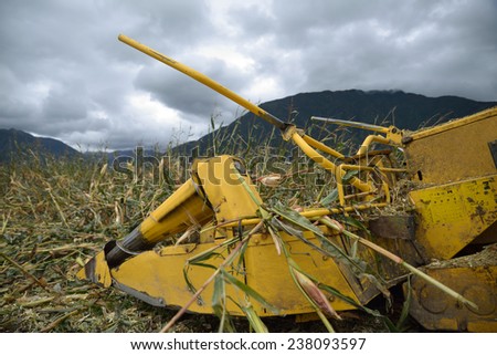 Detail of cutters on combine harvester as farmers harvest a crop of maize for silage on a dairy farm in Westland, New Zealand