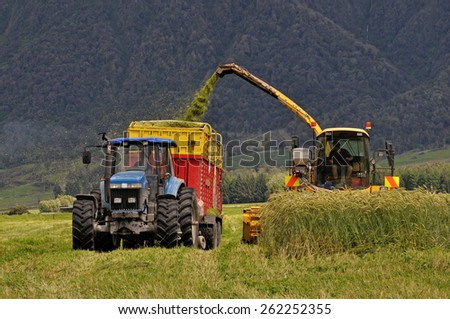 Farmers harvest a crop of triticale for silage on a West Coast dairy farm, South Island, New Zealand