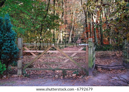 Five bar gate at the entrance to woodland in autumnal colors.