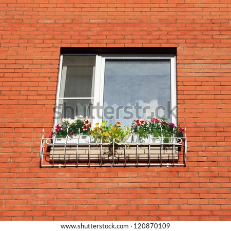 Window photo with beautiful bright flower and greens on window sill. Look directly.