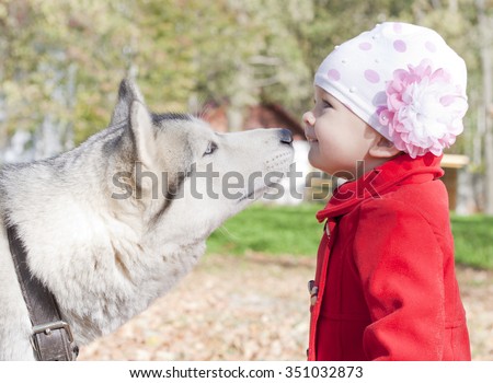 Alascan cute pet hasky kissing little girl. Friendly relationships between animal and people. Adorable pet of th little toddler. Walk with hansome husky in the autumn park outdoors.  Colorful photo.