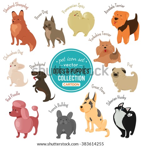 Cute dog and puppy icons isolated on white background. Vector illustration for veterinarian design. Set of cartoon flat breed dogs. Pet animal clip art characters. Adorable puppy pet images Veterinary
