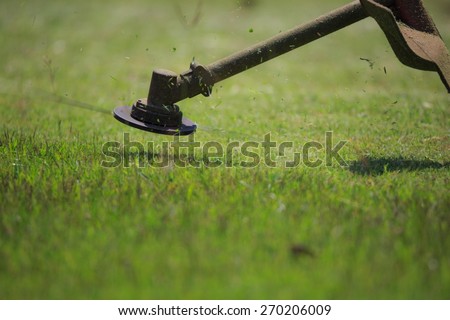 The gardener cutting grass by lawn mower