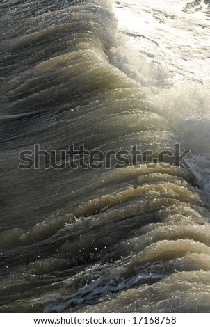 A large wave rolls in to shore in the late afternoon sunlight.