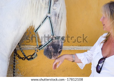 A woman in her sixties holds out her hand for the white horse to smell her scent.