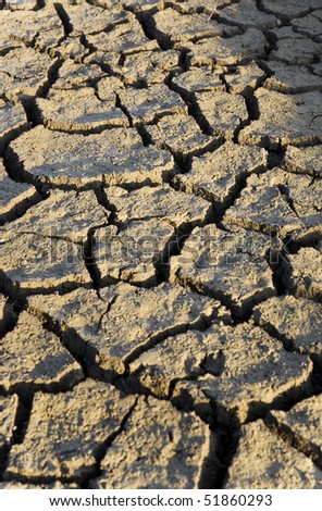 A color portrait of dried cracked mud of a riverbed caused by global warming.