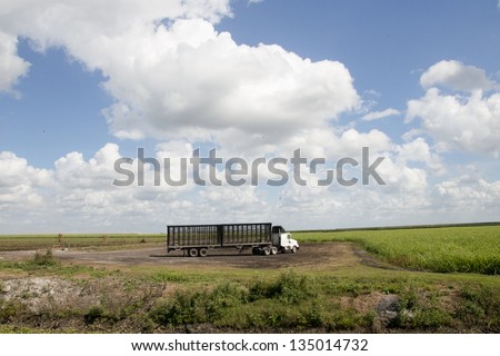 Truck waiting for sugarcane harvest in South Florida.