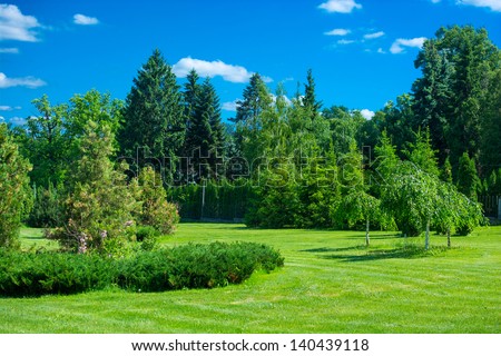 Park landscape with green grass, trees and blue sky