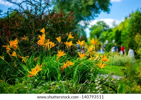 Lawn with flowers on blurred background of people for a walk