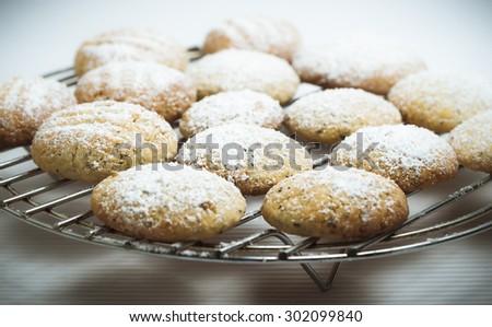 Sugar-dusted lemon and poppy seed biscuits, fresh and homemade, resting on a cooling rack, with pale seamless background.