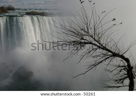 Winter at Niagara.\
\
\
\
at Niagara falls.\
\
main focus on the foreground (tree).