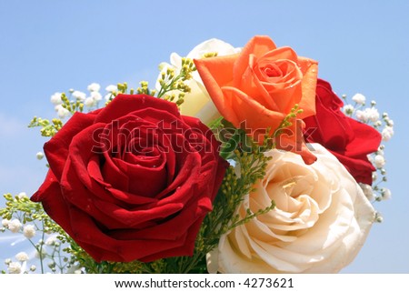 Colorful roses and clear blue skies.