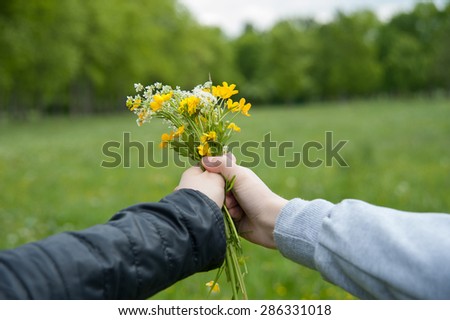 bouquet of wildflowers in hand on the background of grass